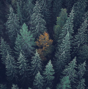 Meet your Posher, Micaela